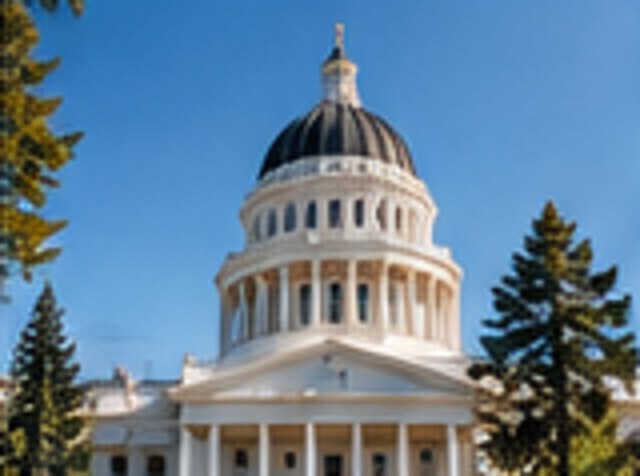 Illustrative government architecture